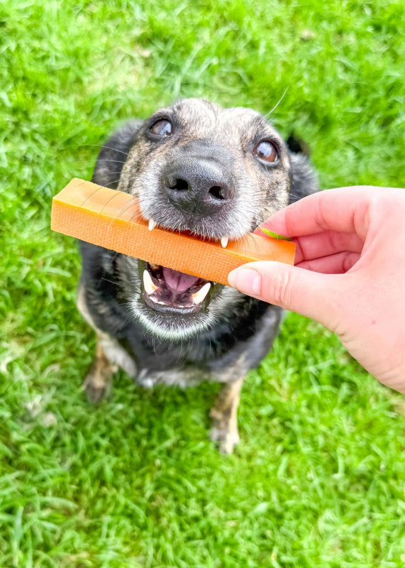 Eden Pumpkin Milk Chew Medium for Dogs