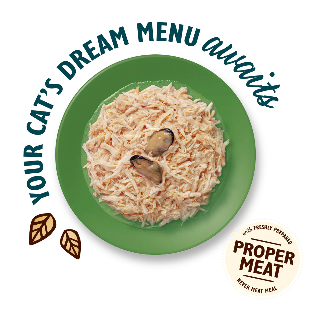 Lily's Kitchen Shredded Fillets Chicken & Mussels in Broth Cat Food 70g