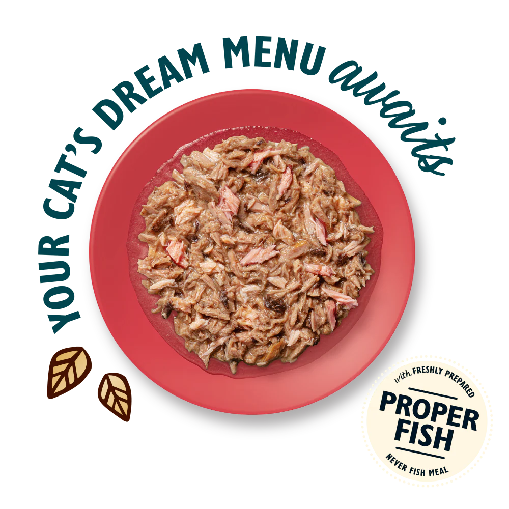 Lily's Kitchen Shredded Fillets Tuna & Salmon in Broth Cat Food 70g