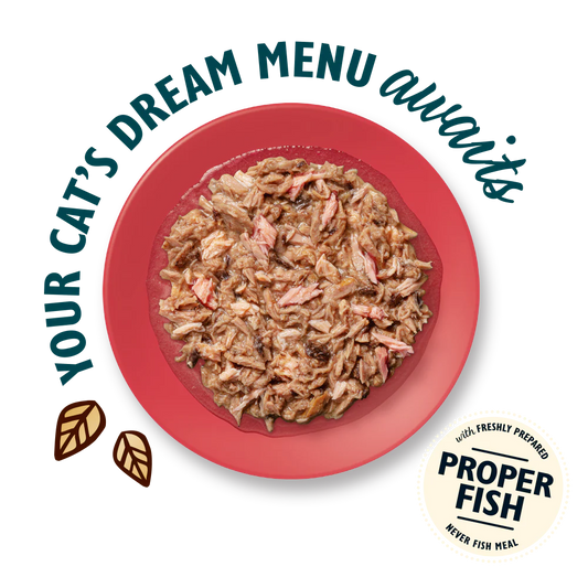 Lily's Kitchen Shredded Fillets Tuna & Salmon in Broth Cat Food 70g
