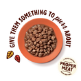 Load image into Gallery viewer, Lily's Kitchen Tasty Cuts Chicken Cat Food 85g
