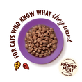 Load image into Gallery viewer, Lily's Kitchen Chicken & Fish for Mature Cats Tasty Cuts in Gravy 85g
