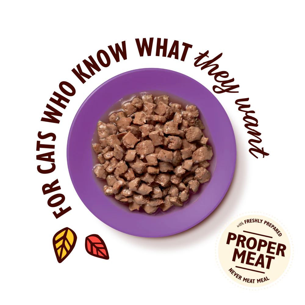 Lily's Kitchen Chicken & Fish for Mature Cats Tasty Cuts in Gravy 85g