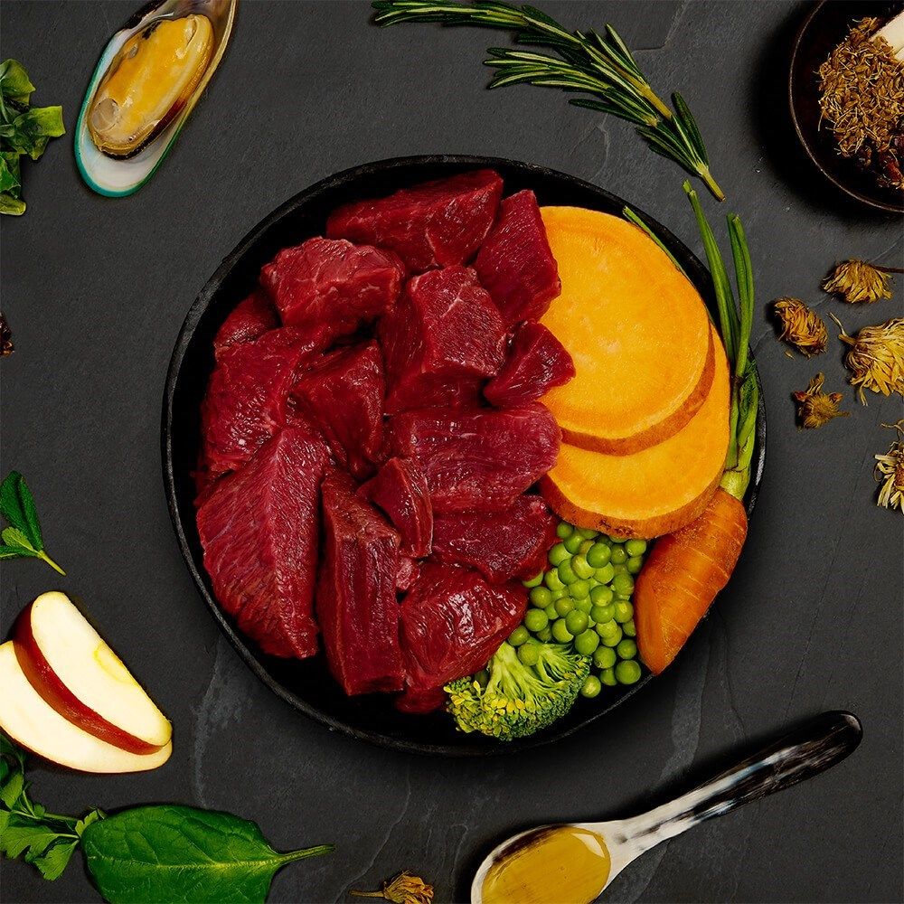 Canagan Beef Stew Wet Food Can 400g