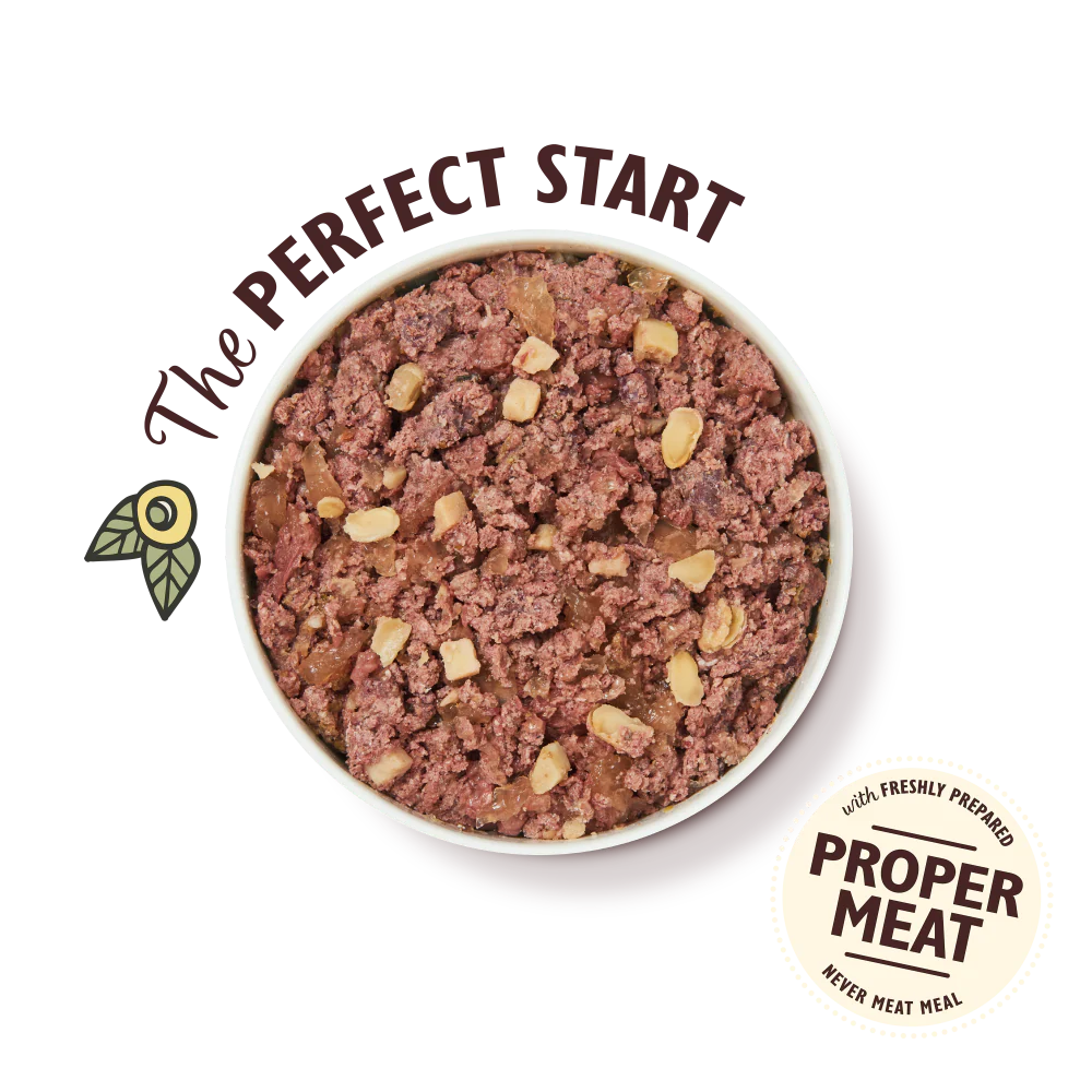 Lily's Kitchen Wet Dog Food Tray - Great British Breakfast 150g