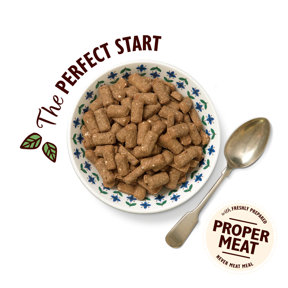 Lily's Kitchen Breakfast Crunch Dry Dog Food 800g