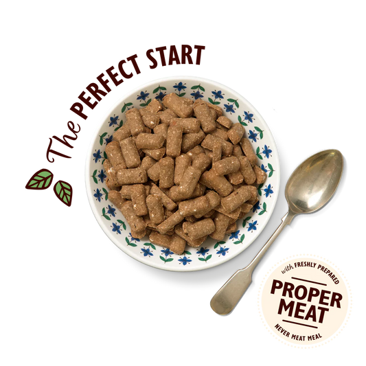 Lily's Kitchen Breakfast Crunch Dry Dog Food 800g