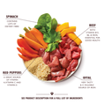 Load image into Gallery viewer, Lily's Kitchen Wet Dog Food - Beef Goulash 400g
