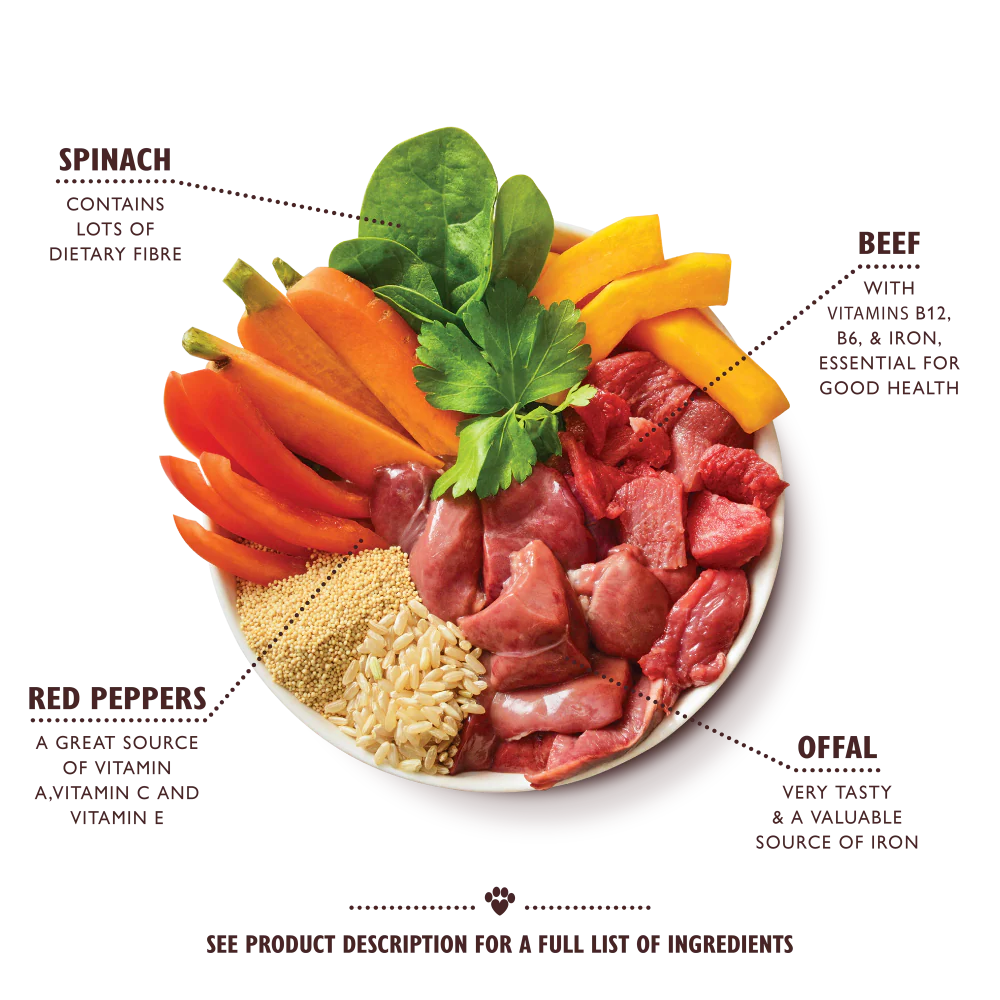 Lily's Kitchen Wet Dog Food - Beef Goulash 400g