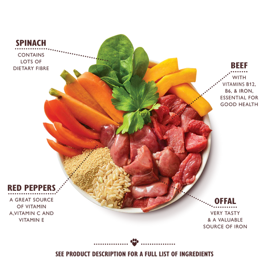 Lily's Kitchen Wet Dog Food - Beef Goulash 400g