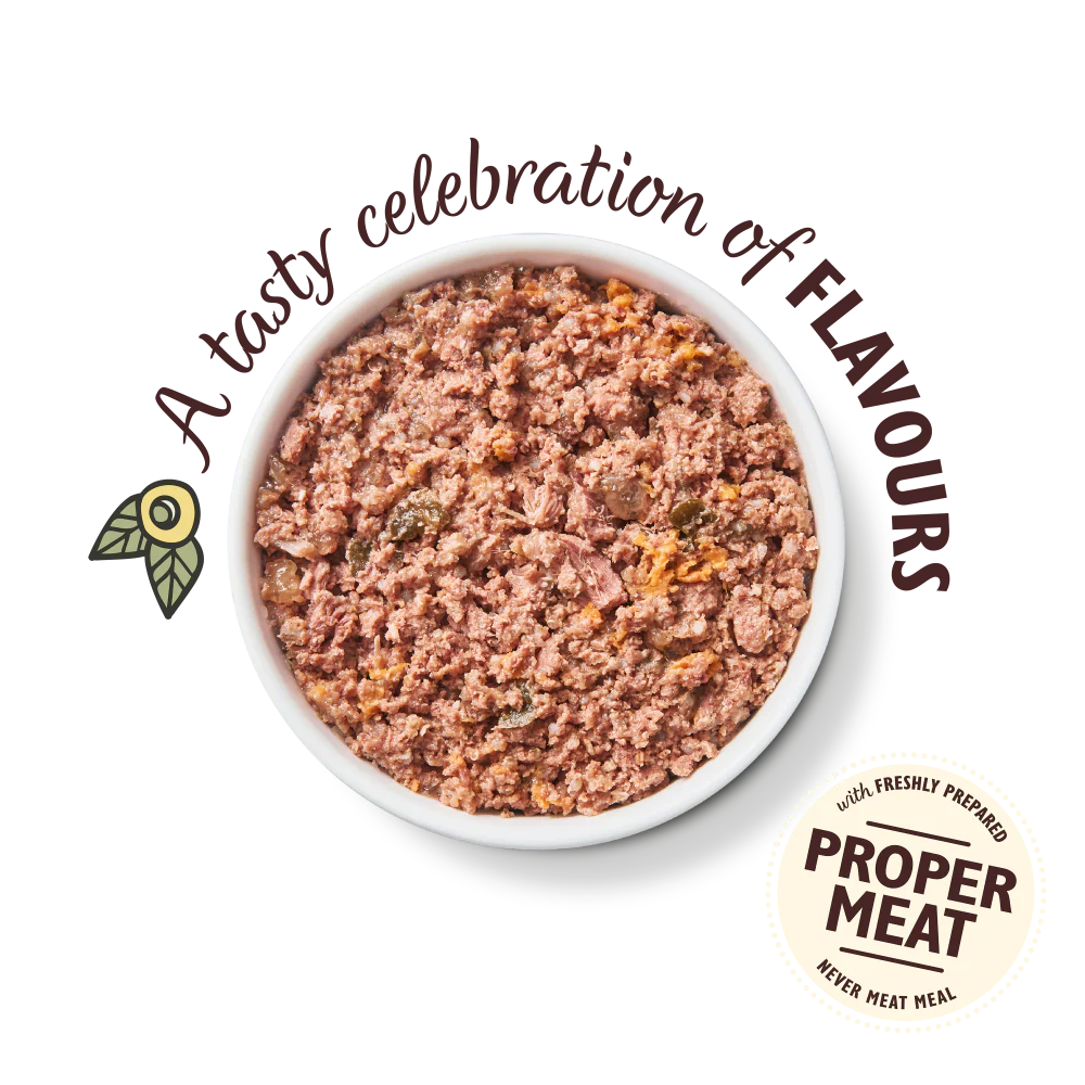 Lily's Kitchen Wet Dog Food - Carnival Chicken 400g