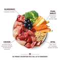 Load image into Gallery viewer, Lily's Kitchen Wet Dog Food - Homestyle Chicken & Turkey Casserole 400g
