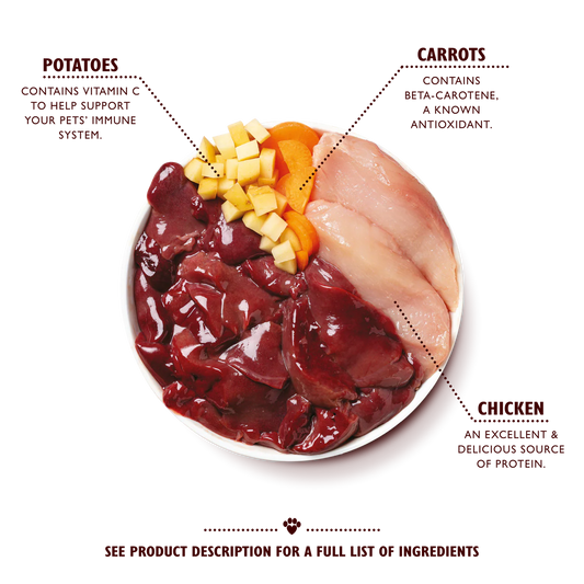 Lily's Kitchen Wet Dog Food Tray - Puppy Recipe 150g