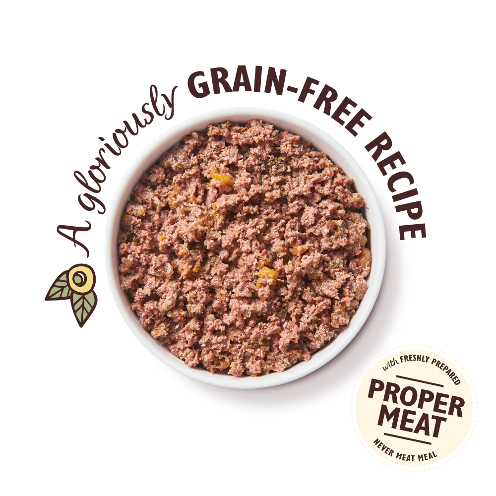Lily's Kitchen Wet Dog Food - Coronation Chicken 400g