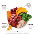 Load image into Gallery viewer, Lily's Kitchen Wet Dog Food Tray - Coronation Chicken 150g
