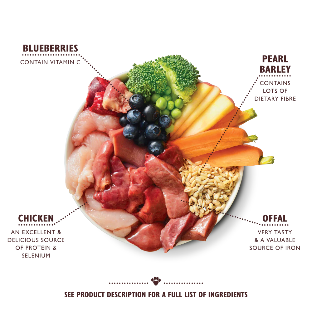 Lily's Kitchen Wet Dog Food Tray - Chicken and Turkey 150g