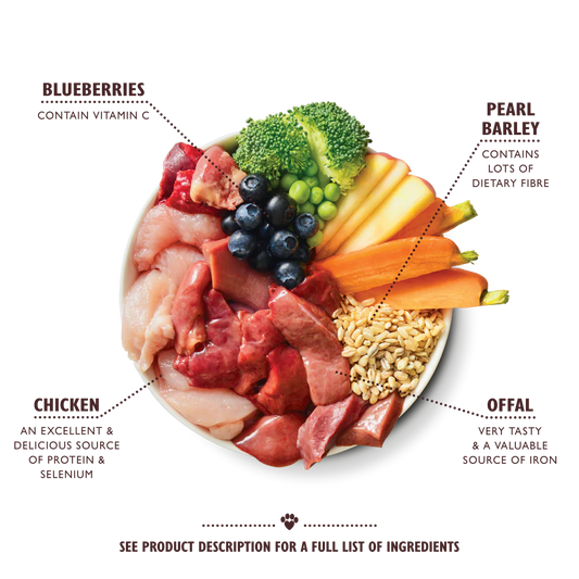 Lily's Kitchen Wet Dog Food Tray - Chicken and Turkey 150g