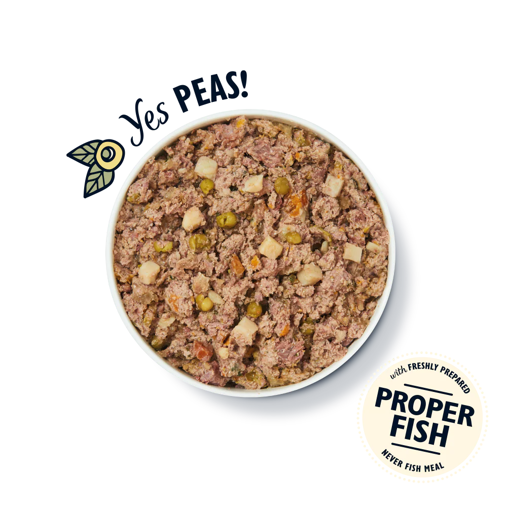 Lily's Kitchen Wet Dog Food - Fishy Fish Pie w/ Peas 400g