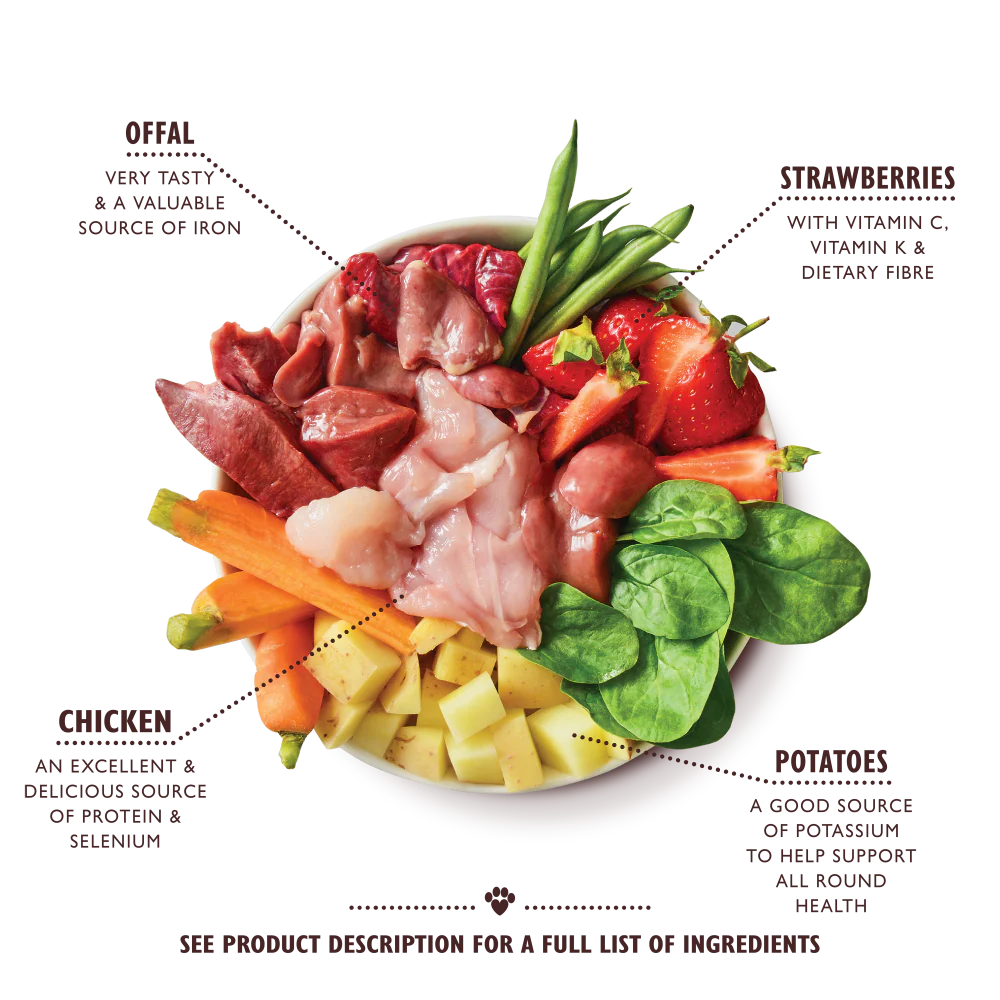 Lily's Kitchen Wet Dog Food - An English Garden Party 400g