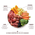 Load image into Gallery viewer, Lily's Kitchen Wet Dog Food Tray - Lamb Hotpot 150g
