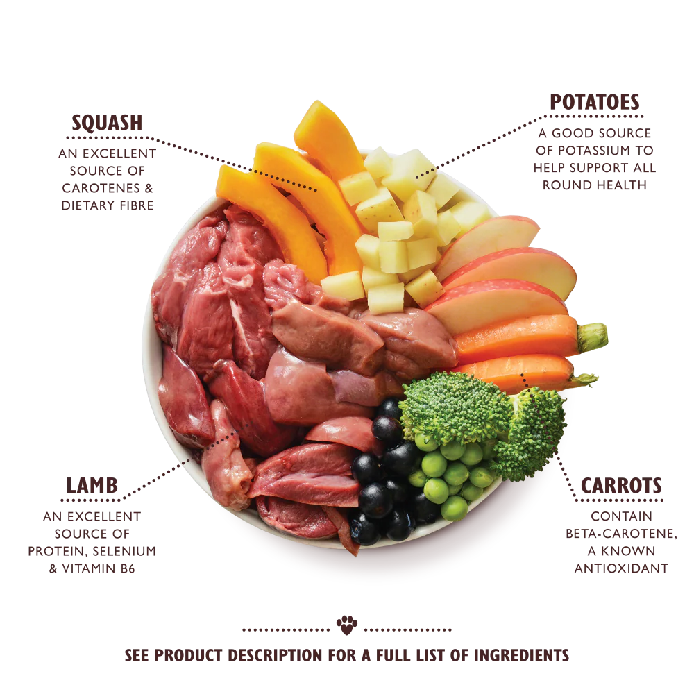 Lily's Kitchen Wet Dog Food Tray - Lamb Hotpot 150g