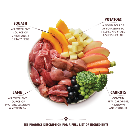 Lily's Kitchen Wet Dog Food Tray - Lamb Hotpot 150g