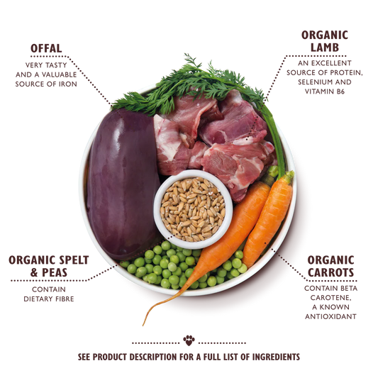Lily's Kitchen Wet Dog Food Tray - Organic Lamb & Spelt Supper 150g