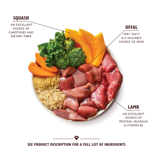 Lily's Kitchen Wet Dog Food - Lamb Tagine 400g