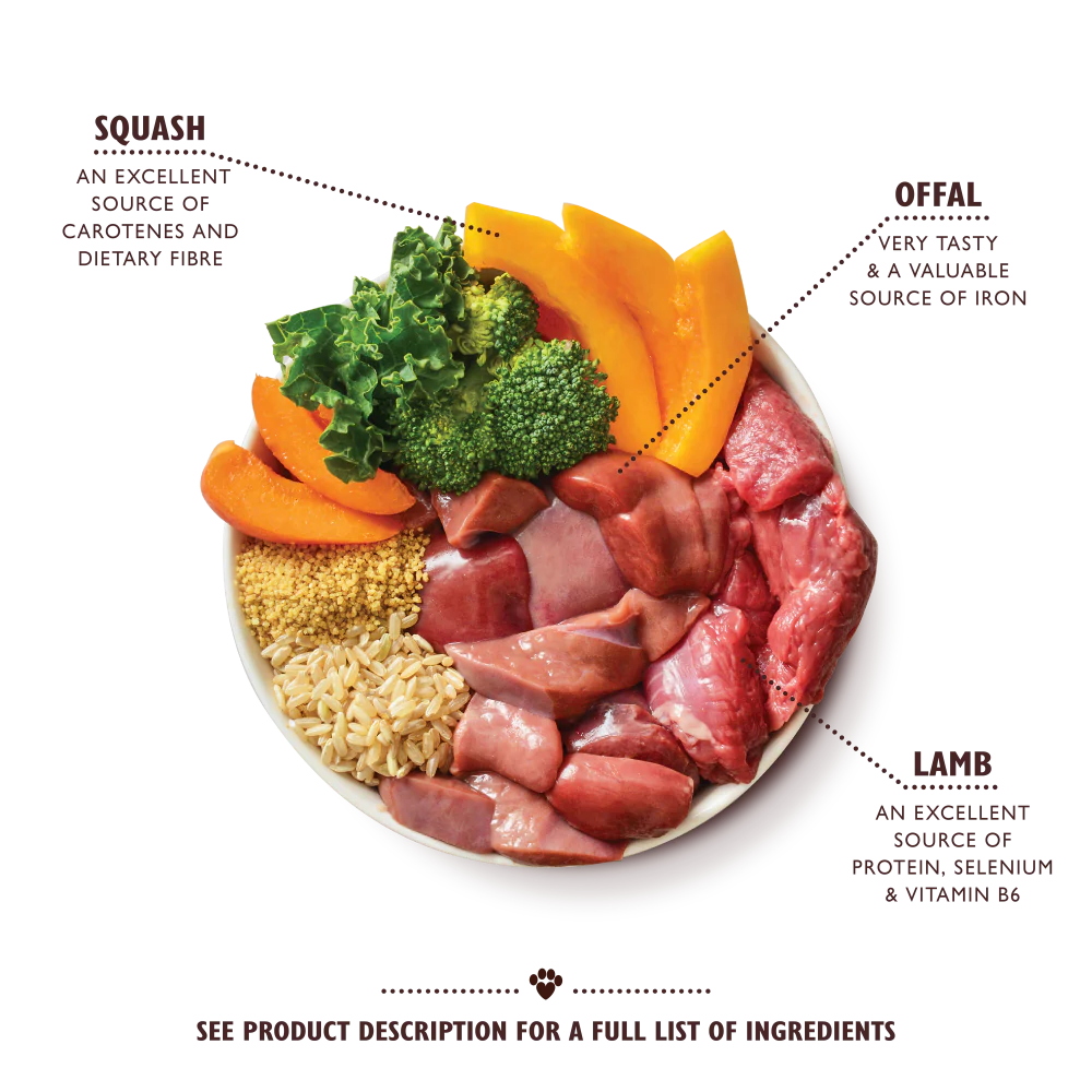 Lily's Kitchen Wet Dog Food Tray - Lamb Tagine 150g