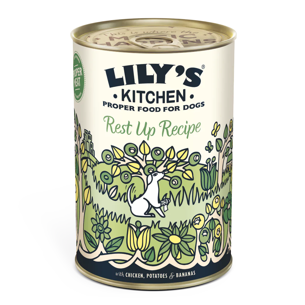 Lily's Kitchen Wet Dog Food - Recovery Recipe 400g