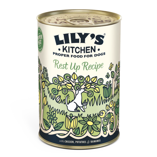 Lily's Kitchen Wet Dog Food - Recovery Recipe 400g