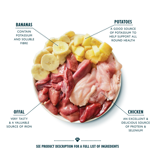 Lily's Kitchen Wet Dog Food - Recovery Recipe 400g