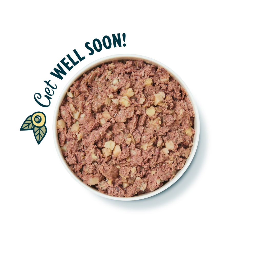 Lily's Kitchen Wet Dog Food - Recovery Recipe 400g