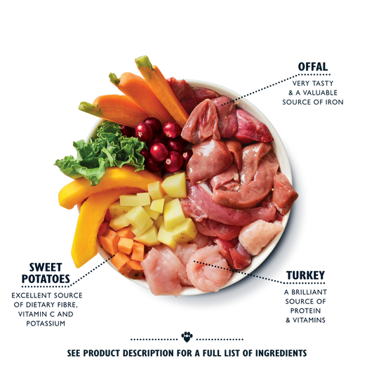 Lily's Kitchen Wet Dog Food - Puppy Recipe Turkey & Duck 400g
