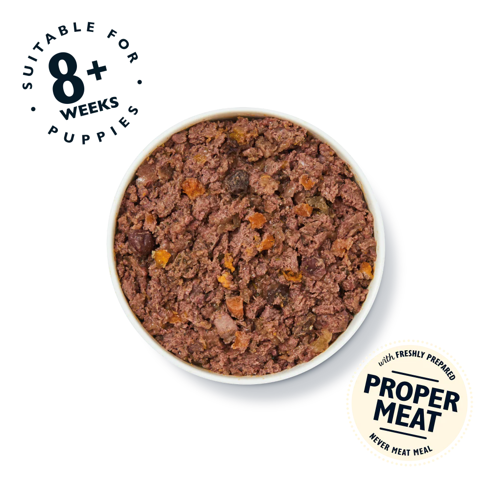Lily's Kitchen Wet Dog Food - Puppy Recipe Turkey & Duck 400g