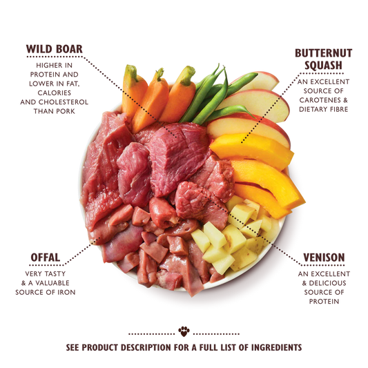 Lily's Kitchen Wet Dog Food - Venison & Wild Boar Terrine 400g