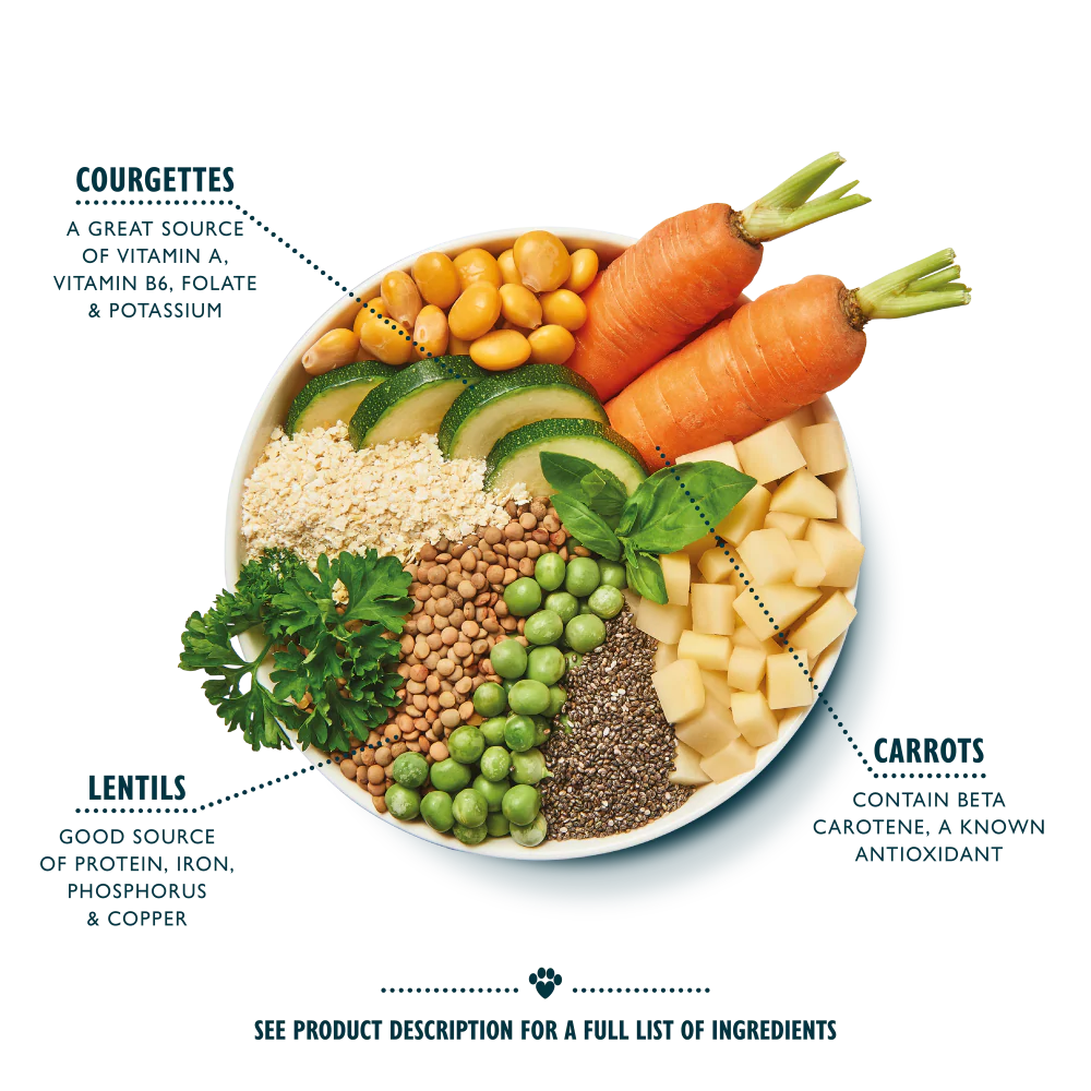 Lily's Kitchen Wet Dog Food - Vegan Rainbow Stew 400g