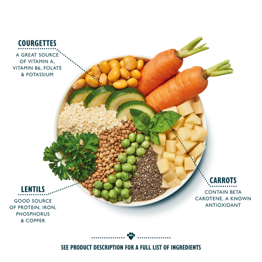 Lily's Kitchen Wet Dog Food - Vegan Rainbow Stew 400g