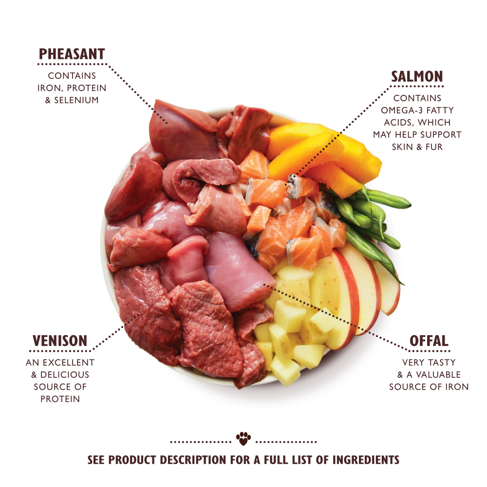 Lily's Kitchen Wet Dog Food - Wild Campfire Stew 400g