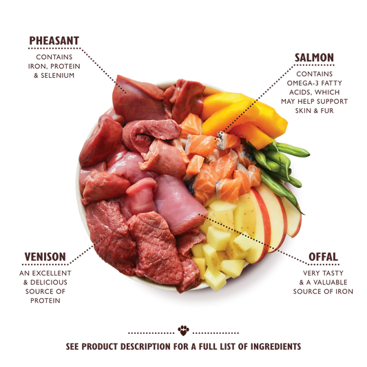Lily's Kitchen Wet Dog Food - Wild Campfire Stew 400g