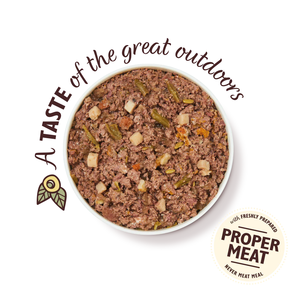 Lily's Kitchen Wet Dog Food - Wild Campfire Stew 400g