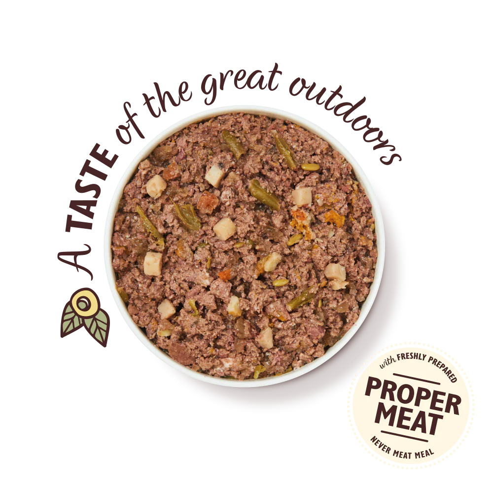 Lily's Kitchen Wet Dog Food Tray - Wild Campfire Stew 150g