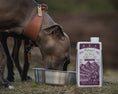Load image into Gallery viewer, Eden Wild Venison Bone Broth for Cats & Dogs 500ml
