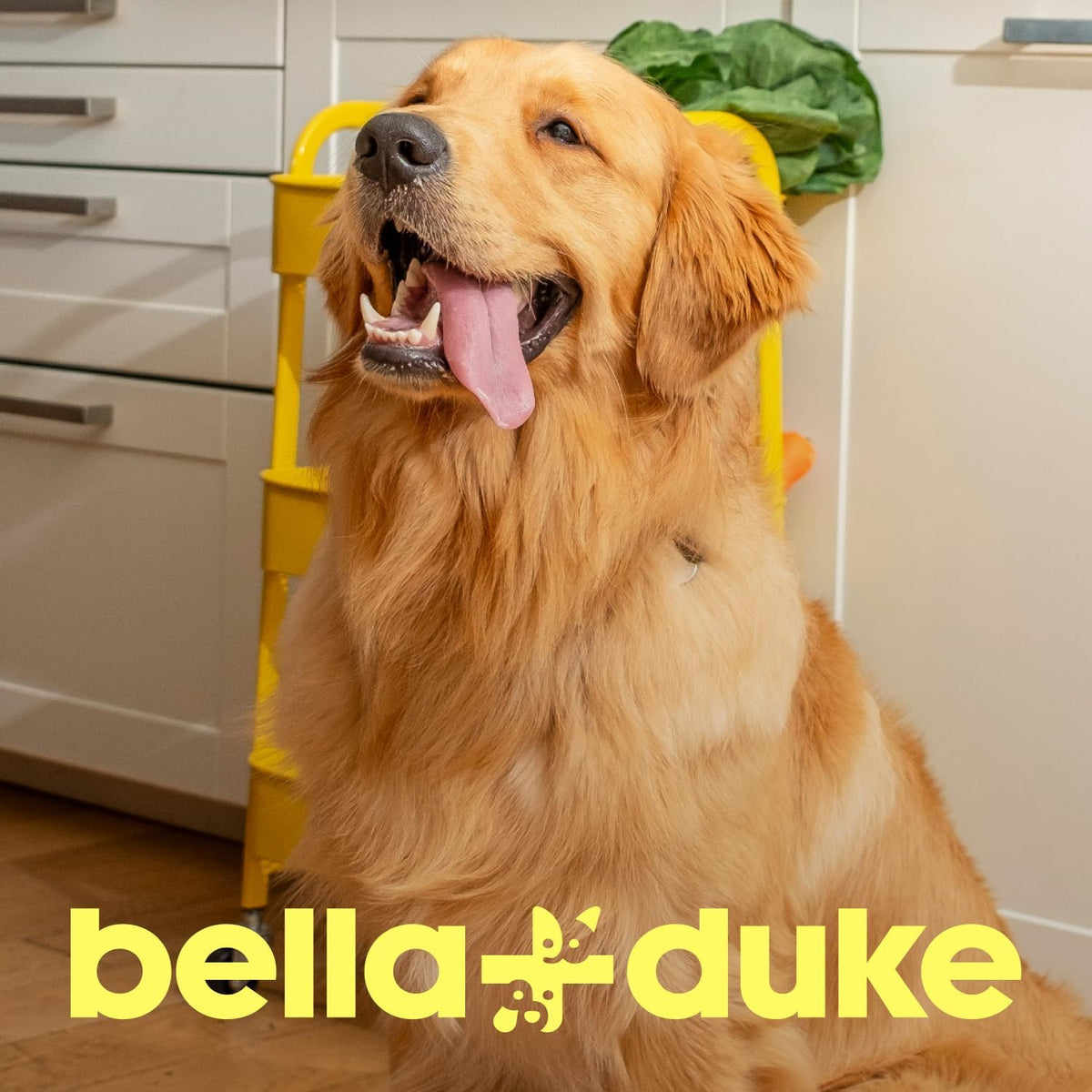 Bella + Duke Hearty Ox Bites 100g
