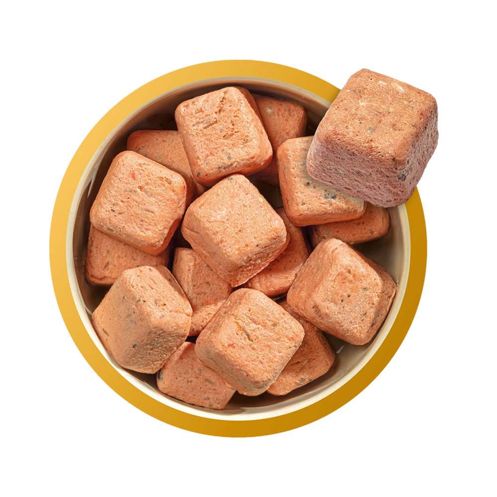 Natures Menu 80% Chicken and Salmon for Puppies