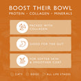 Load image into Gallery viewer, Eden Nordic Lamb Bone Broth Cats & Dogs 500ml
