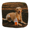 Load image into Gallery viewer, Eden Nordic Lamb Bone Broth Cats & Dogs 500ml
