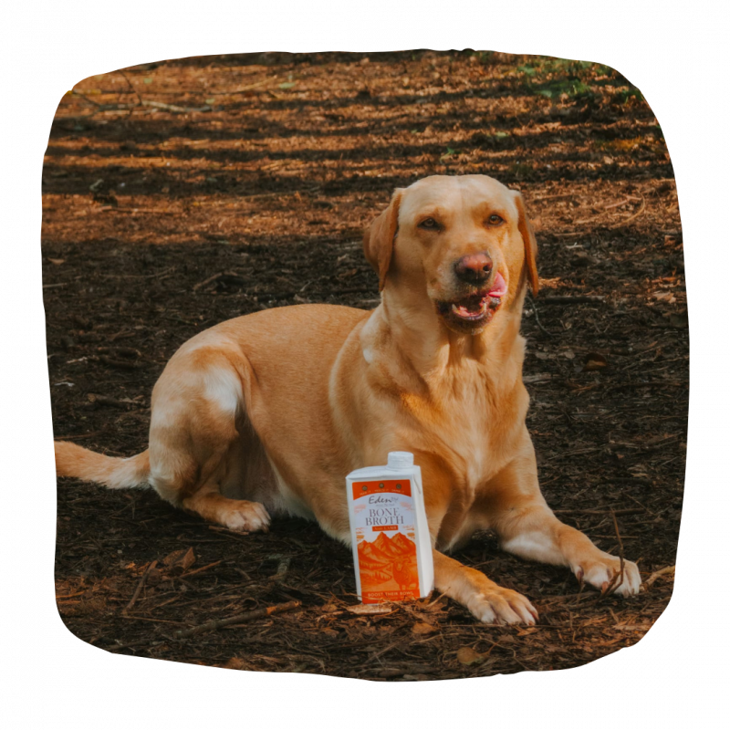 Eden Nordic Lamb Bone Broth Cats & Dogs 500ml