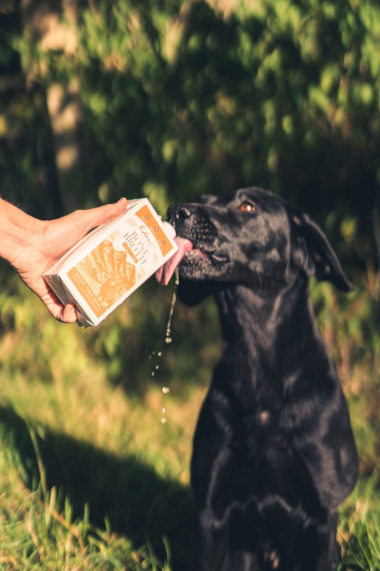 Eden Nordic Lamb Bone Broth Cats & Dogs 500ml