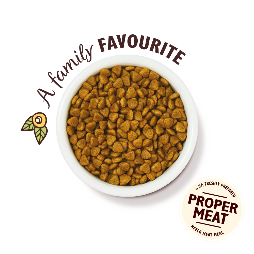 Lily's Kitchen Dry Cat Food Chicken Casserole 800g